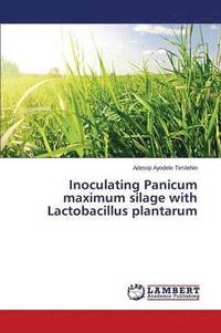 bokomslag Inoculating Panicum maximum silage with Lactobacillus plantarum