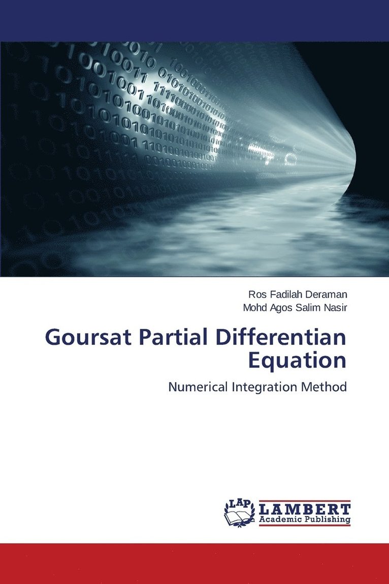 Goursat Partial Differentian Equation 1