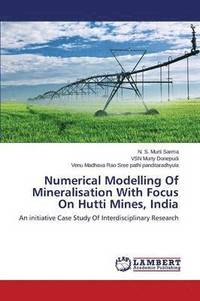 bokomslag Numerical Modelling Of Mineralisation With Focus On Hutti Mines, India