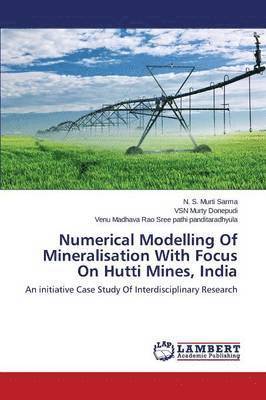 bokomslag Numerical Modelling Of Mineralisation With Focus On Hutti Mines, India