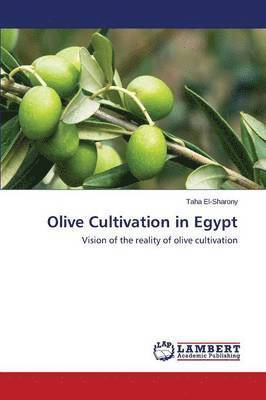 bokomslag Olive Cultivation in Egypt