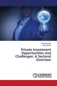 bokomslag Private Investment Opportunities and Challenges