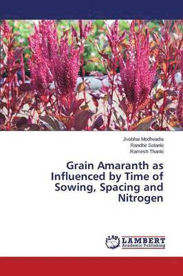 Grain Amaranth as Influenced by Time of Sowing, Spacing and Nitrogen 1