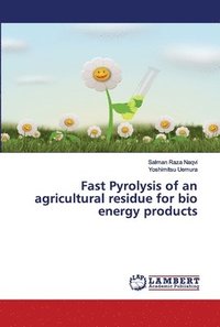 bokomslag Fast Pyrolysis of an agricultural residue for bio energy products