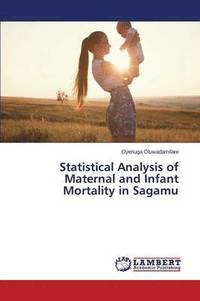 bokomslag Statistical Analysis of Maternal and Infant Mortality in Sagamu