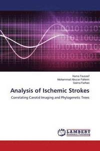 bokomslag Analysis of Ischemic Strokes