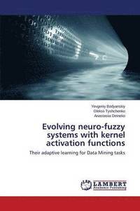 bokomslag Evolving neuro-fuzzy systems with kernel activation functions