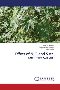 bokomslag Effect of N, P and S on summer castor