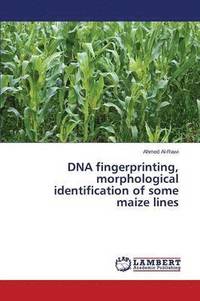 bokomslag DNA fingerprinting, morphological identification of some maize lines