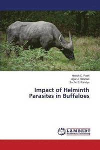 bokomslag Impact of Helminth Parasites in Buffaloes