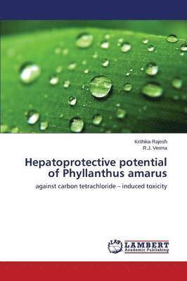 Hepatoprotective potential of Phyllanthus amarus 1