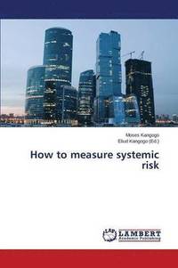 bokomslag How to measure systemic risk