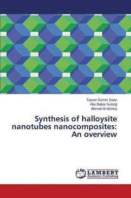 Synthesis of halloysite nanotubes nanocomposites 1