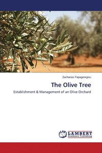 bokomslag The Olive Tree