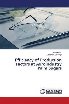 bokomslag Efficiency of Production Factors at Agroindustry Palm Sugars