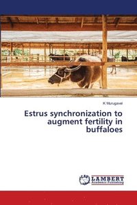bokomslag Estrus synchronization to augment fertility in buffaloes