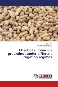 bokomslag Effect of sulphur on groundnut under different irrigation regimes