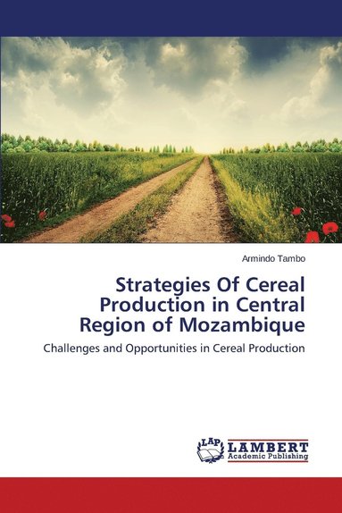 bokomslag Strategies Of Cereal Production in Central Region of Mozambique