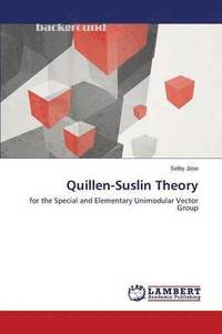 bokomslag Quillen-Suslin Theory