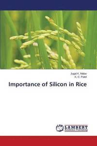 bokomslag Importance of Silicon in Rice