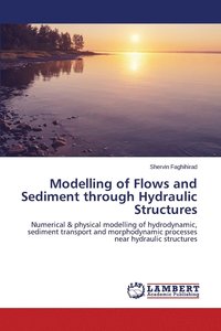 bokomslag Modelling of Flows and Sediment through Hydraulic Structures