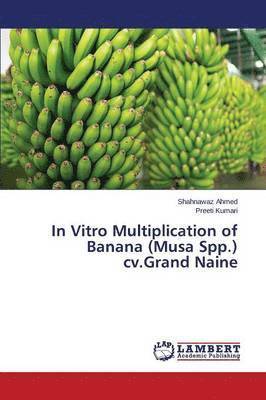 In Vitro Multiplication of Banana (Musa Spp.) cv.Grand Naine 1