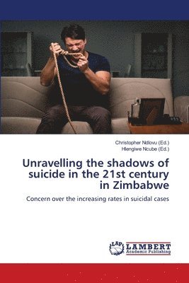Christopher Ndlovu, Hlengiwe Ncube - Unravelling the shadows of suicide in the 21st century in Zimbabwe, Häftad