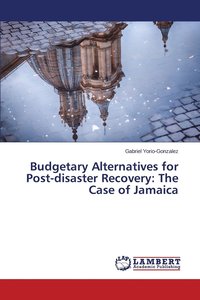 bokomslag Budgetary Alternatives for Post-disaster Recovery