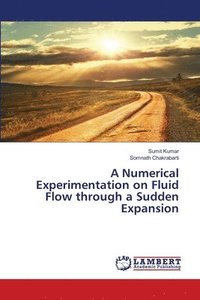 bokomslag A Numerical Experimentation on Fluid Flow through a Sudden Expansion