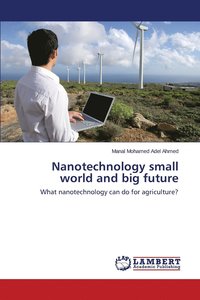 bokomslag Nanotechnology small world and big future