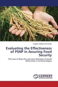 bokomslag Evaluating the Effectiveness of PSNP in Assuring Food Security