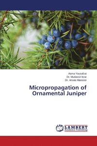 bokomslag Micropropagation of Ornamental Juniper