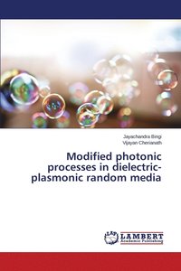 bokomslag Modified photonic processes in dielectric-plasmonic random media