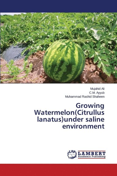 bokomslag Growing Watermelon(Citrullus lanatus)under saline environment