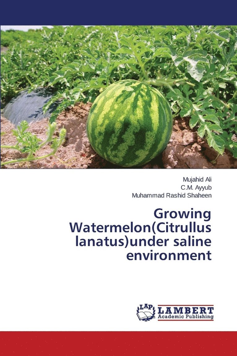 Growing Watermelon(Citrullus lanatus)under saline environment 1