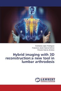 bokomslag Hybrid imaging with 3D reconstruction