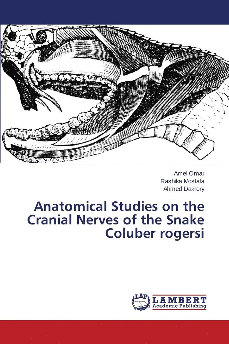 Anatomical Studies on the Cranial Nerves of the Snake Coluber rogersi 1