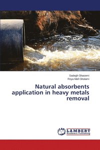 bokomslag Natural absorbents application in heavy metals removal