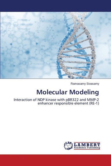 bokomslag Molecular Modeling