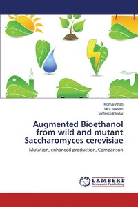 bokomslag Augmented Bioethanol from wild and mutant Saccharomyces cerevisiae