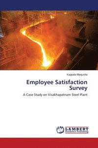 bokomslag Employee Satisfaction Survey