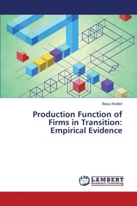 bokomslag Production Function of Firms in Transition