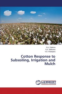 bokomslag Cotton Response to Subsoiling, Irrigation and Mulch