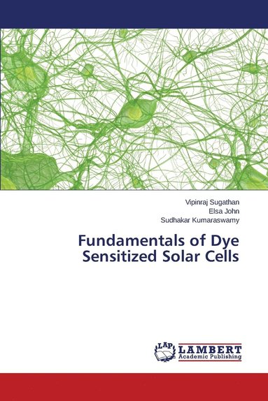 bokomslag Fundamentals of Dye Sensitized Solar Cells