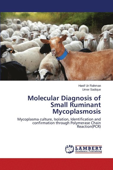 bokomslag Molecular Diagnosis of Small Ruminant Mycoplasmosis