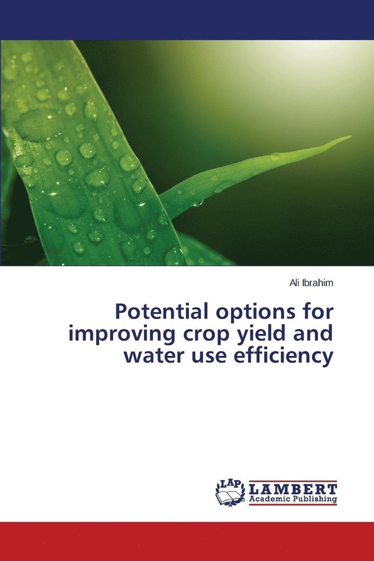Potential options for improving crop yield and water use efficiency 1