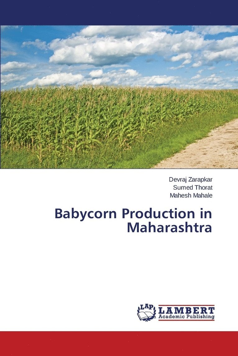 Babycorn Production in Maharashtra 1
