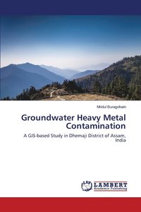 bokomslag Groundwater Heavy Metal Contamination