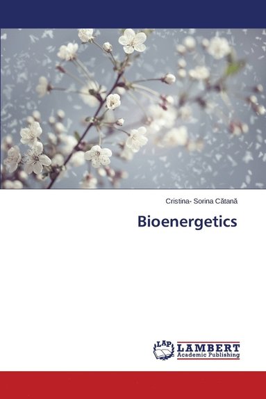 bokomslag Bioenergetics