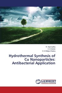 bokomslag Hydrothermal Synthesis of Cu Nanoparticles
